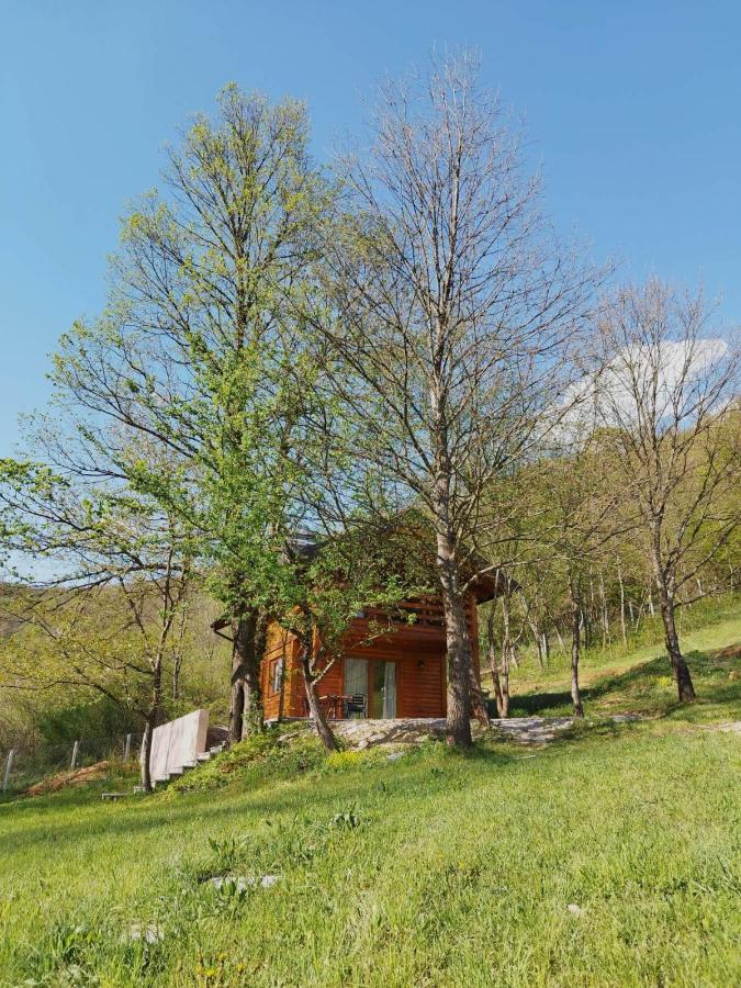 Kuca U Sumi - Forest House Near National Park Una - Air Spa Lohovo Bihać Zewnętrze zdjęcie