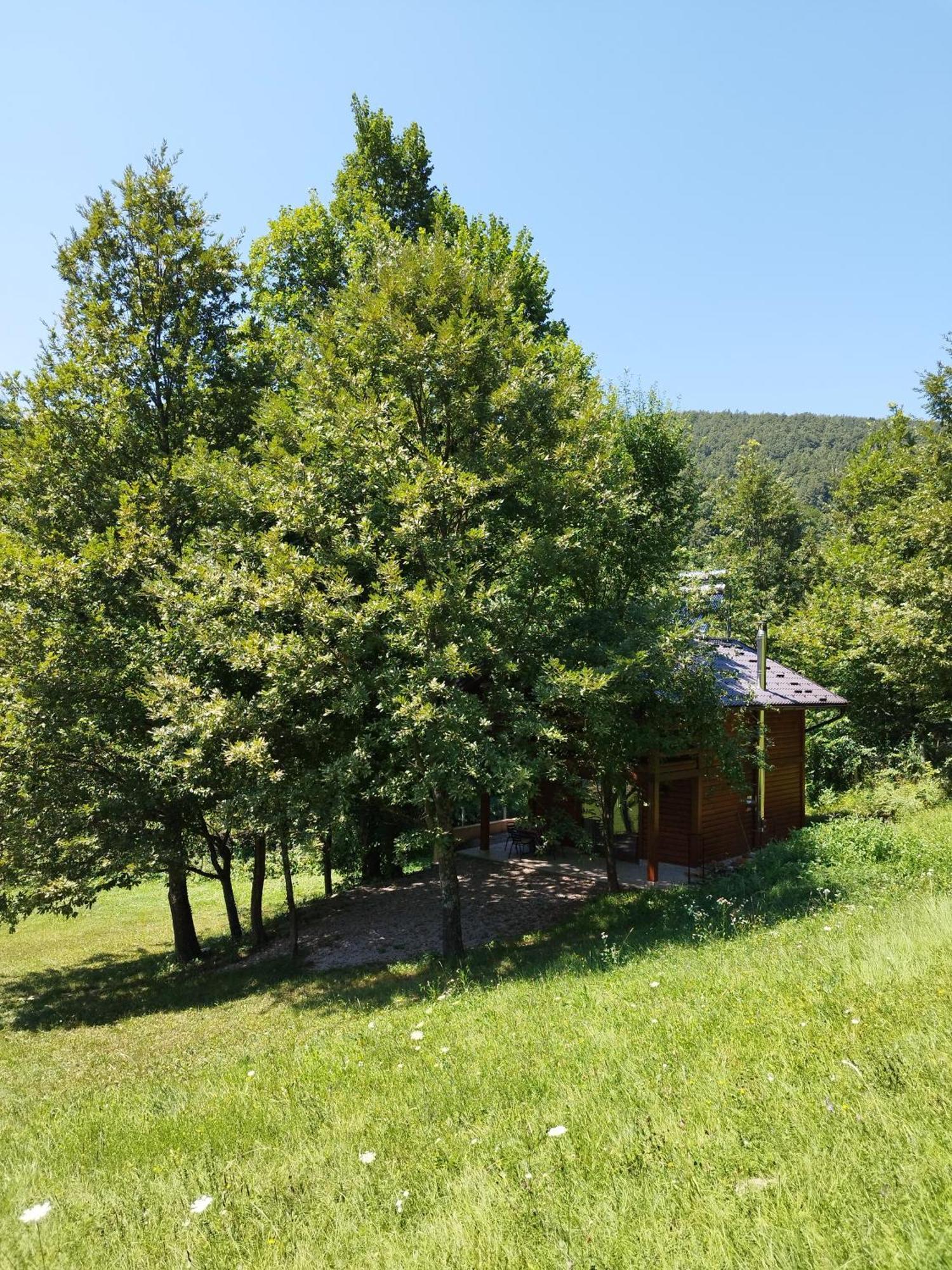 Kuca U Sumi - Forest House Near National Park Una - Air Spa Lohovo Bihać Zewnętrze zdjęcie